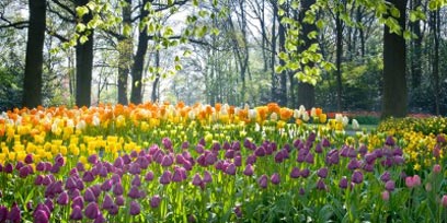 Gönnen Sie Ihrer beanspruchten Winterhaut eine Frühjahrskur mit einer kosmetischen Gesichtsbehandlung. Gönnen Sie Ihrer beanspruchten Winterhaut eine Frühjahrskur mit einer kosmetischen Gesichtsbehandlung.
